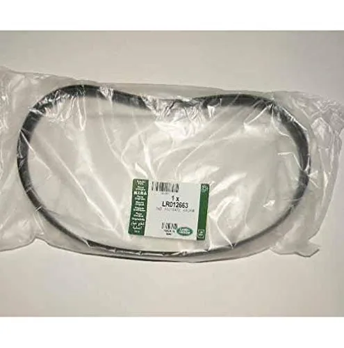 Correa de alternador 6PK715 Dayco